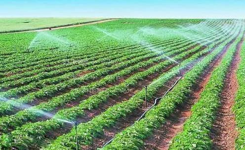 黄色操屌导管视频农田高 效节水灌溉